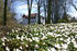 Park Schloss Torgelow im Frühling