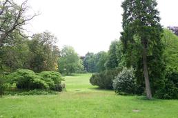 Landschaftspark Dammereez