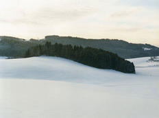 Bernhard Fuchs: "Dobring im Winter 2010"