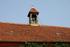 Glockenturm Burg Penzlin