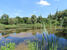 Teich im Park 2024