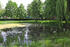 Teich im Gutspark Blesewitz