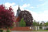 Dorfkirche Brunn