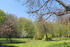 Park Bohlendorf 2024