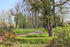 Park Bohlendorf 2024