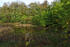 Teich im Park Blücherhof