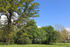 Park Broock