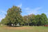 vor dem Gutshaus Dahlen