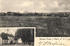 Historische Postkarte Gut Drigge 1914; aus der Sammlung A. Kobsch, Stralsund