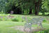 Im Park Falkenhagen