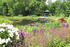 Park Falkenhagen