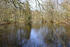 Teich im Park im Herbst