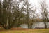 Teich im Park im Herbst