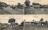 Historische Postkarte Gut Lancken um 1900; aus der Sammlung A. Kobsch, Stralsund