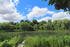Teich