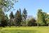 Park Losentitz