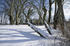 Neu Wendorf - Der Park im Winter