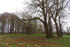 Park Neuendorf