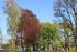 Park Quadenschönfeld