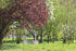 Park Quadenschönfeld
