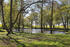 Teich im Park Quadenschönfeld