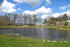 Teich Gutsanlage Rosengarten