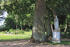 Skulptur Park Rothenklempenow 2024