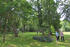 Park Sophienhof 2022