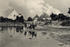 Historische Ansicht Dorf Steinmocker 1911 aus der Sammlung A. Kobsch, Stralsund