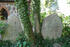 Grabstellen der Rittergutsfamilie Rehm auf Teschow auf dem Friedhof Cammin