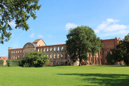 Schloss und Klosterruine Dargun