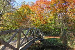Brücke im Park Pansevitz