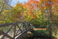 Brücke im Park Pansevitz