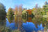 Teich im Park