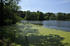 Teich im Park Semlow
