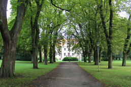 Allee zum Herrenhaus Griebenow