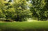 Park Schloss Griebenow