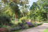 Schlosspark Ludwigslust