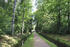 Waldpark
