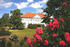 Parkseite Schloss Hohenzieritz; Foto: Uwe Seewald, 2023