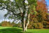 Herbst im Schlosspark Putbus