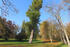 Schlosspark Putbus im Herbst